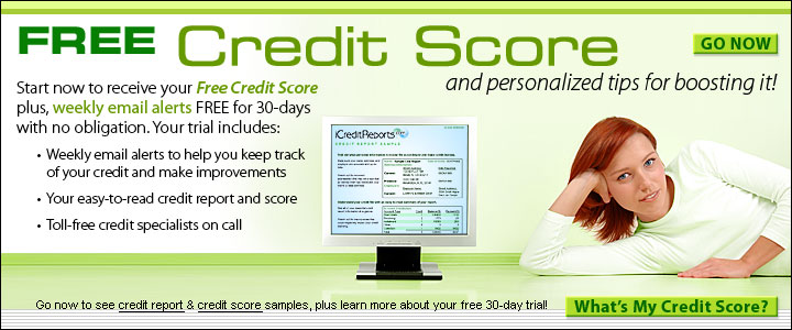 Experian Business Credit Reports